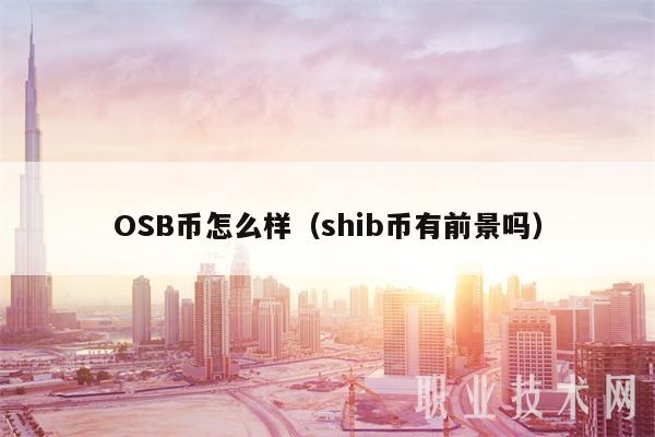 OSB币怎么样(shib币有前景吗)